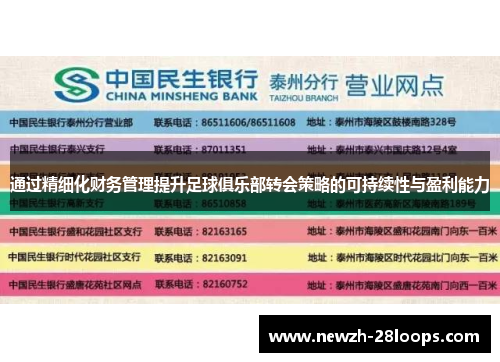 通过精细化财务管理提升足球俱乐部转会策略的可持续性与盈利能力